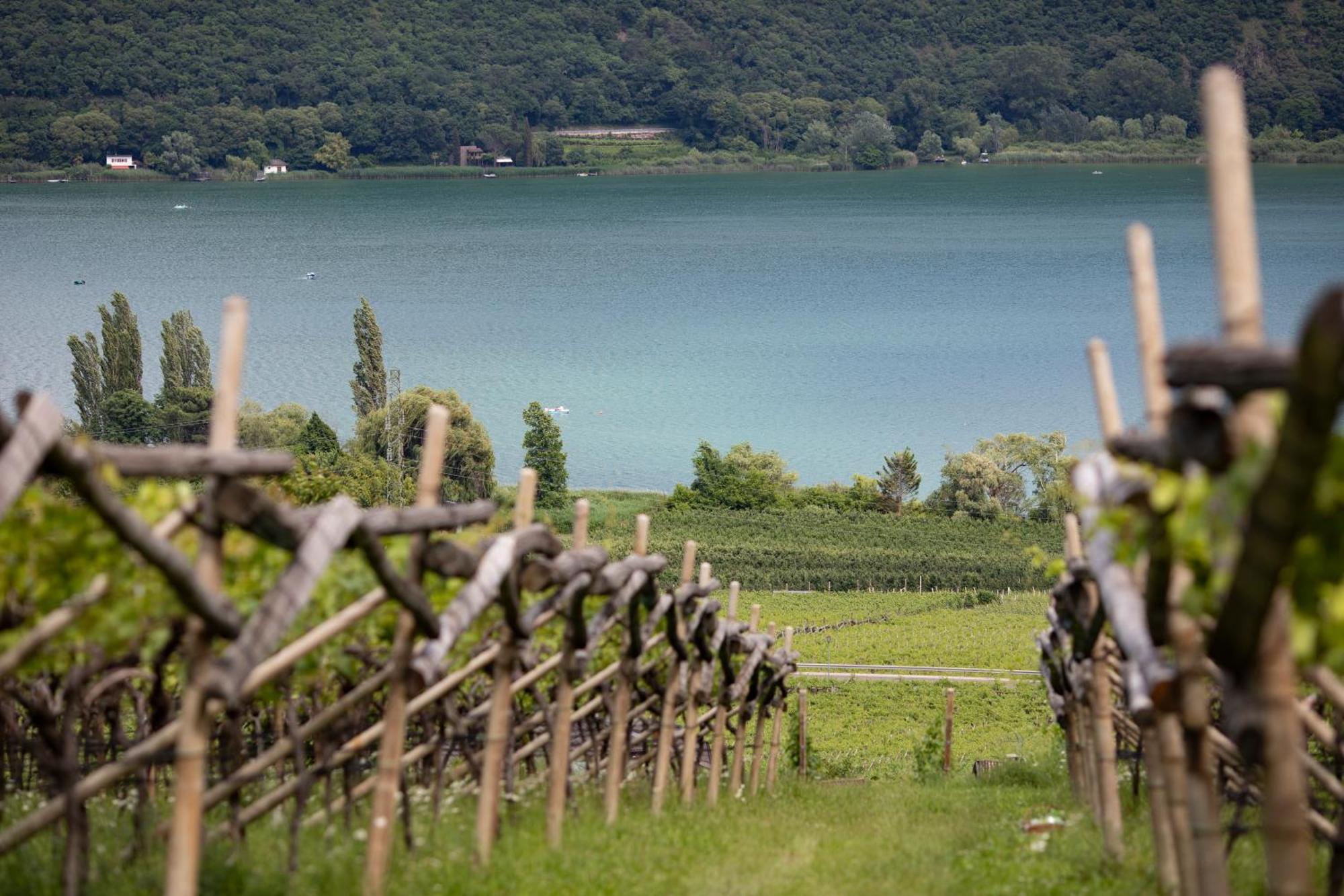 Apartamento Baron Di Pauli Caldaro sulla Strada del Vino Exterior foto