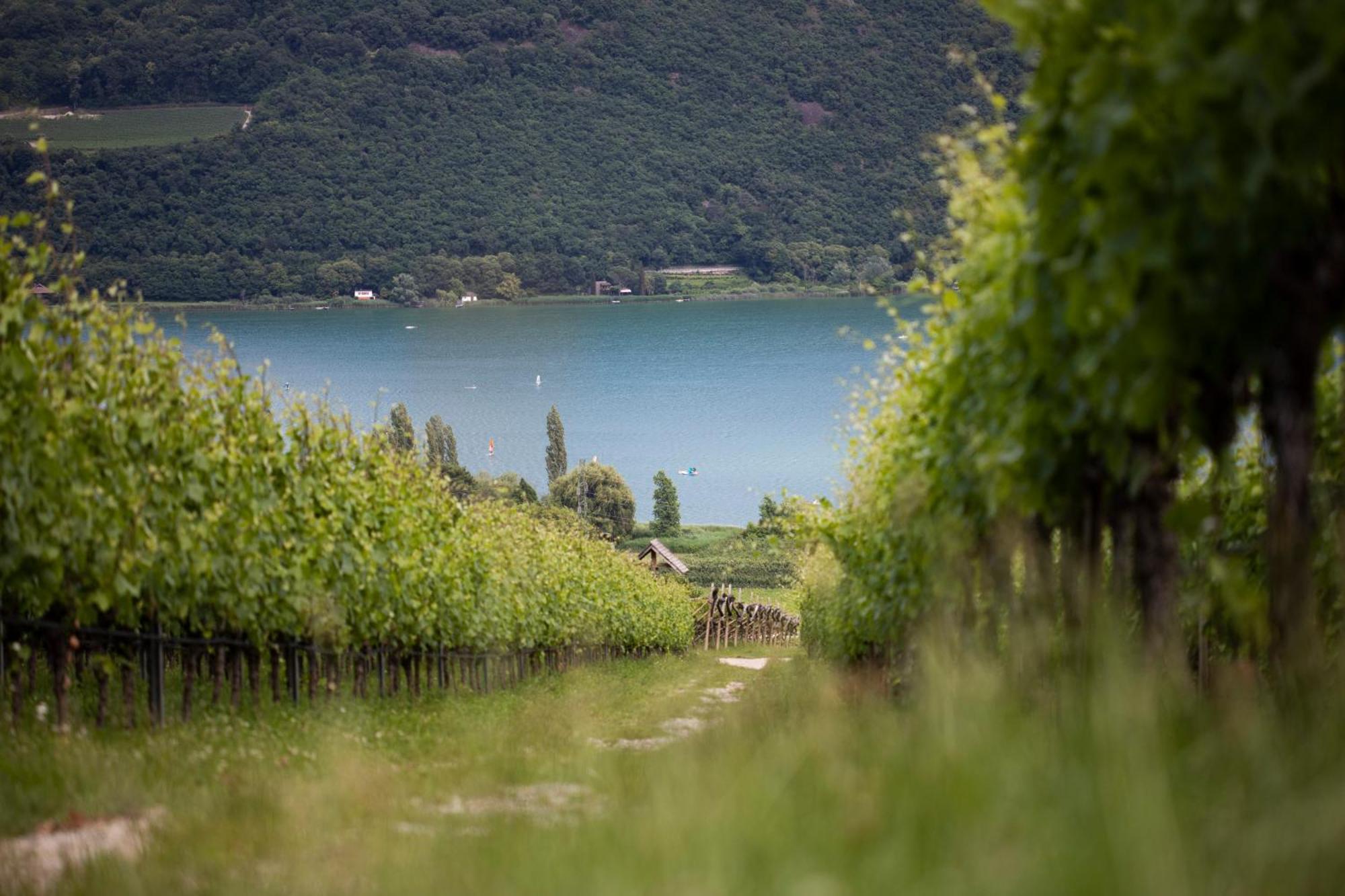 Apartamento Baron Di Pauli Caldaro sulla Strada del Vino Exterior foto