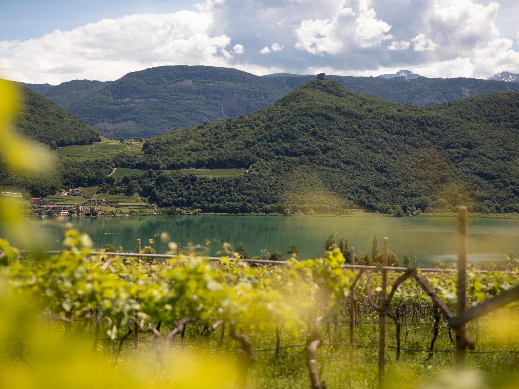 Apartamento Baron Di Pauli Caldaro sulla Strada del Vino Exterior foto