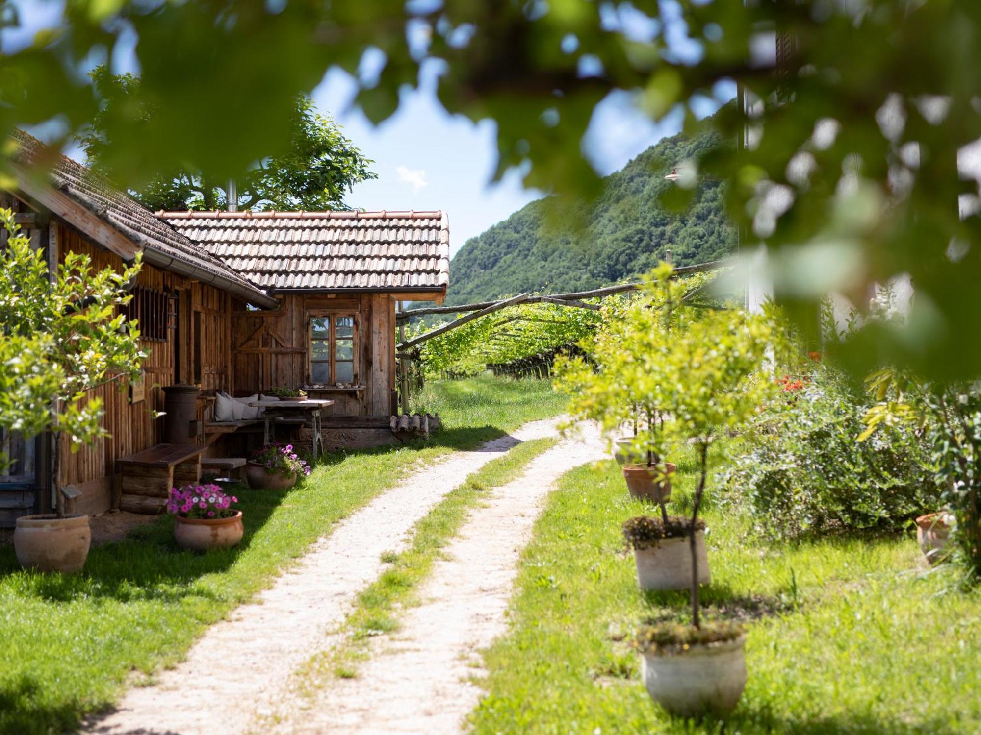 Apartamento Baron Di Pauli Caldaro sulla Strada del Vino Exterior foto